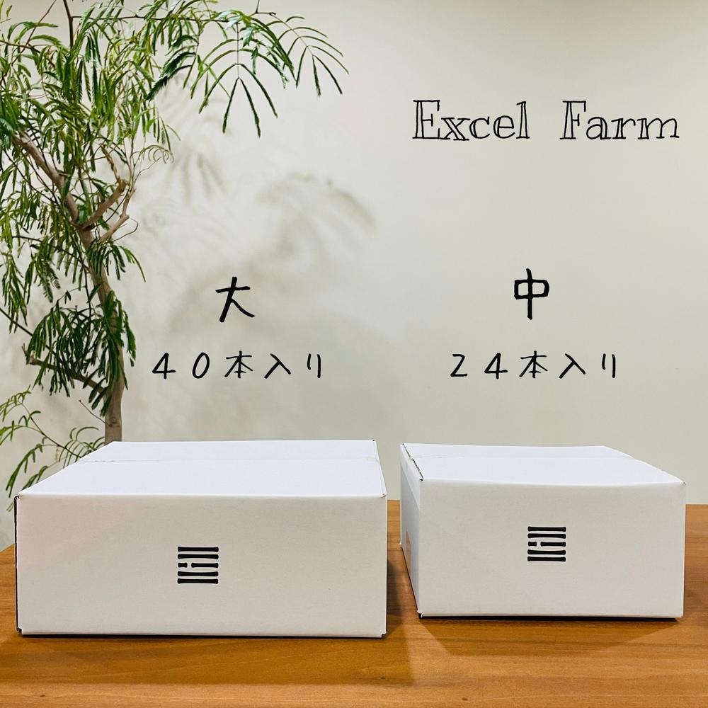 至極 きゅうり 24本入り | Excel Farm （エクセルファーム）