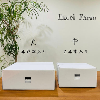 至極 きゅうり 24本入り | Excel Farm （エクセルファーム）
