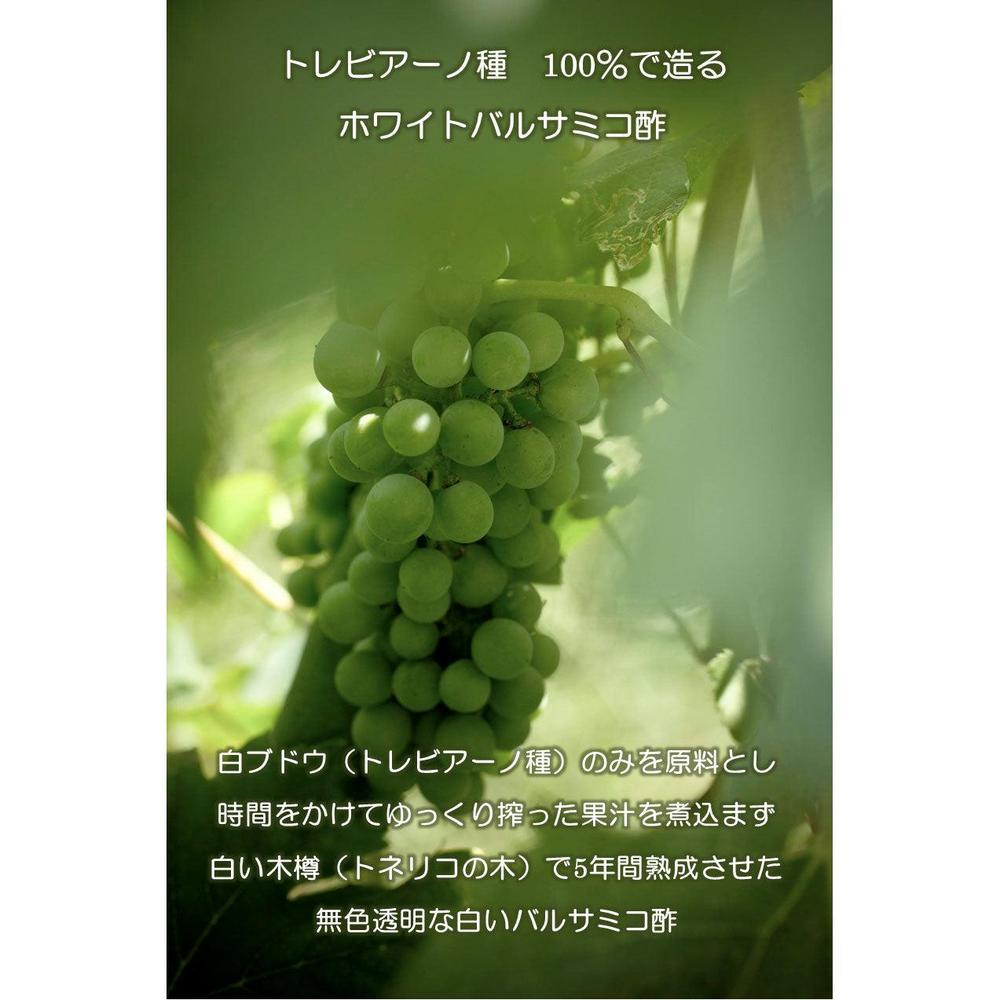 チーズにもよく合うミディアムフルーティーオリーブオイルとバルサミコ酢セット | OLiVO（オリーヴォ）