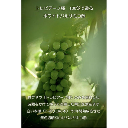 チーズにもよく合うミディアムフルーティーオリーブオイルとバルサミコ酢セット | OLiVO（オリーヴォ）