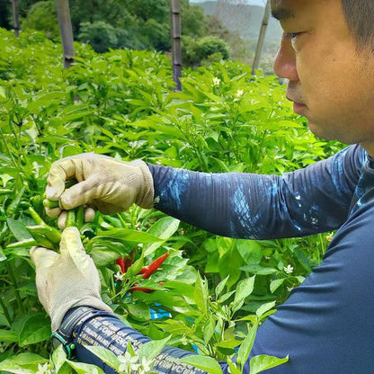 平松町の粗ずり柚子胡椒（青）50g/70g