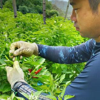 平松町の粗ずり柚子胡椒（赤）50g/70g