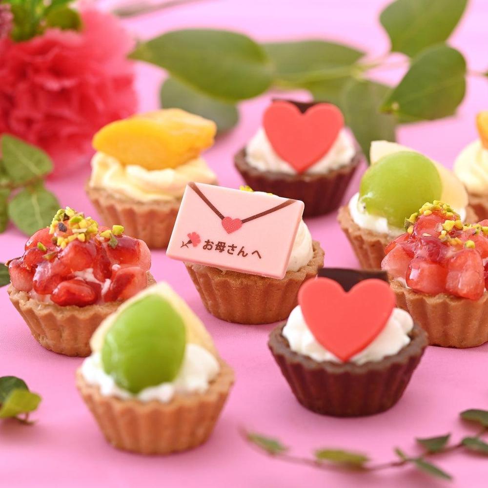★ ひとみっち【マルチケース】ミナペルホネン tarteタルト tarte - minä perhonen