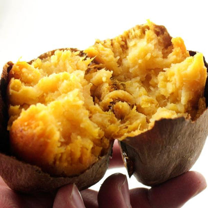 安納芋