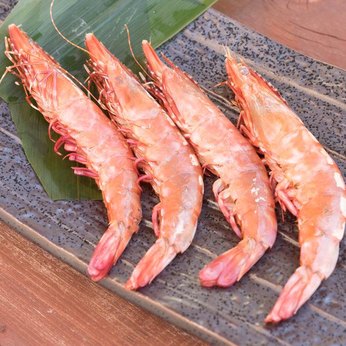 天然足赤えび