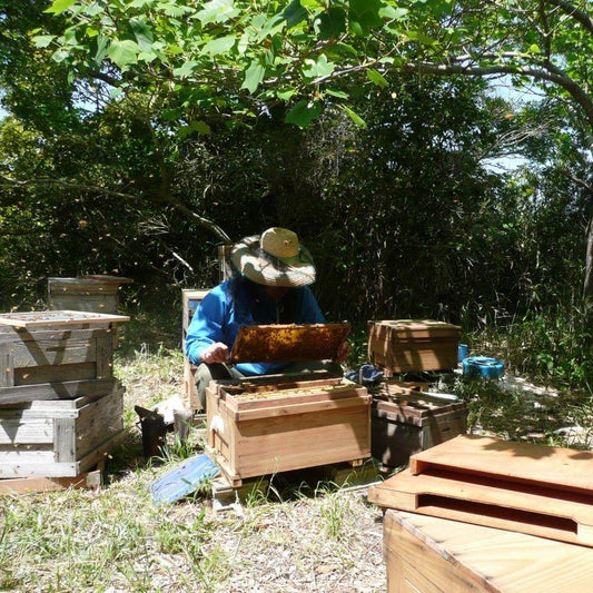 製造工程