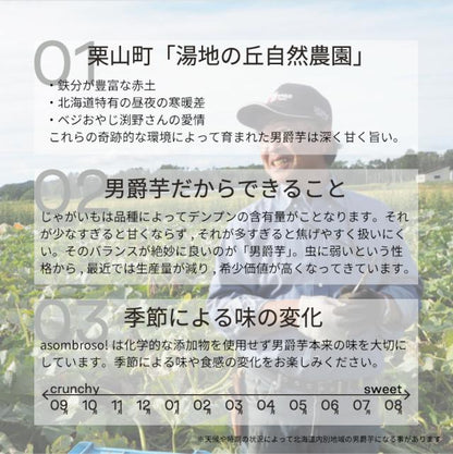 【送料無料】冷凍ハンドカットフライズ【高級フライドポテト】2袋セット | asombroso! hokkaido（アソンブロッソ北海道）