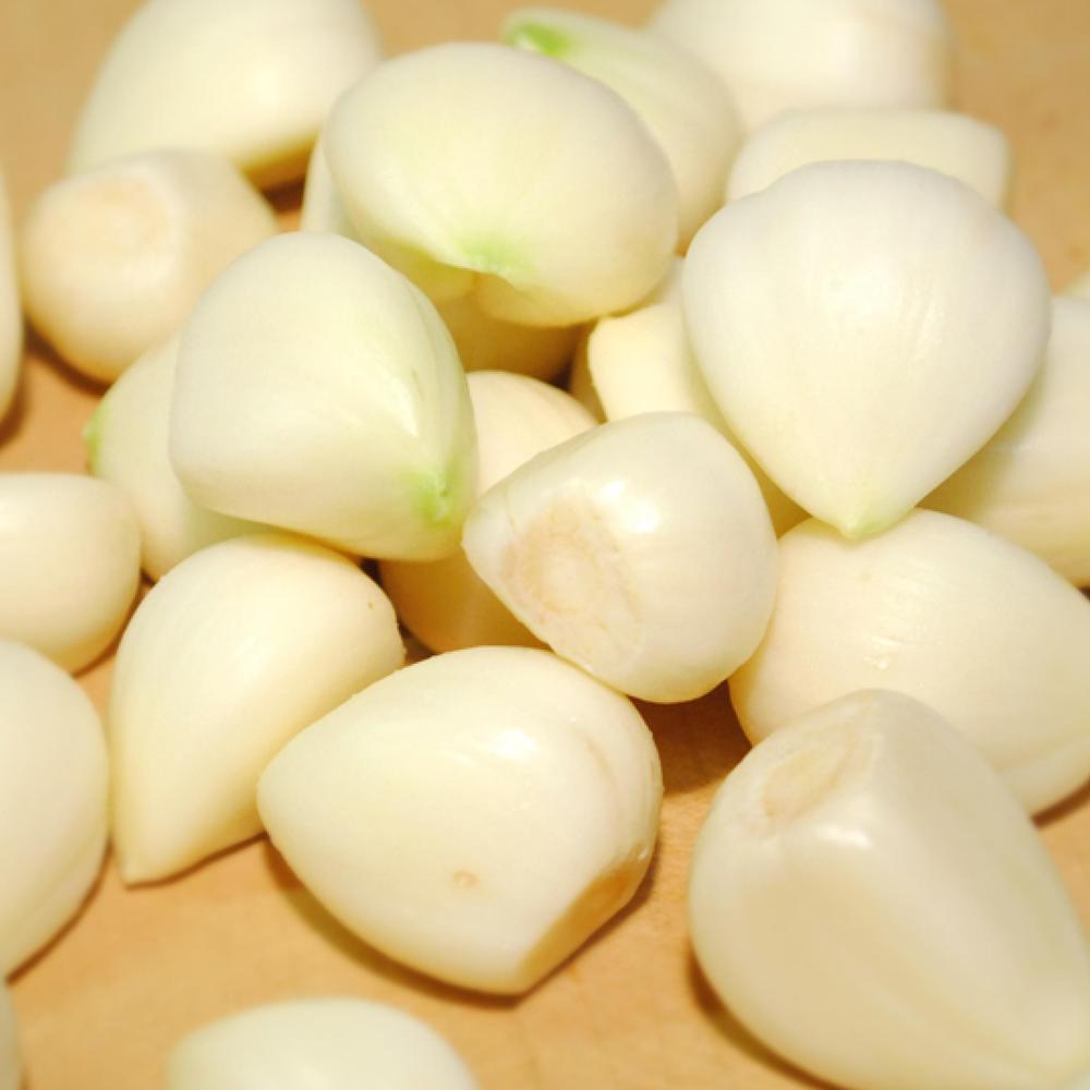 材料