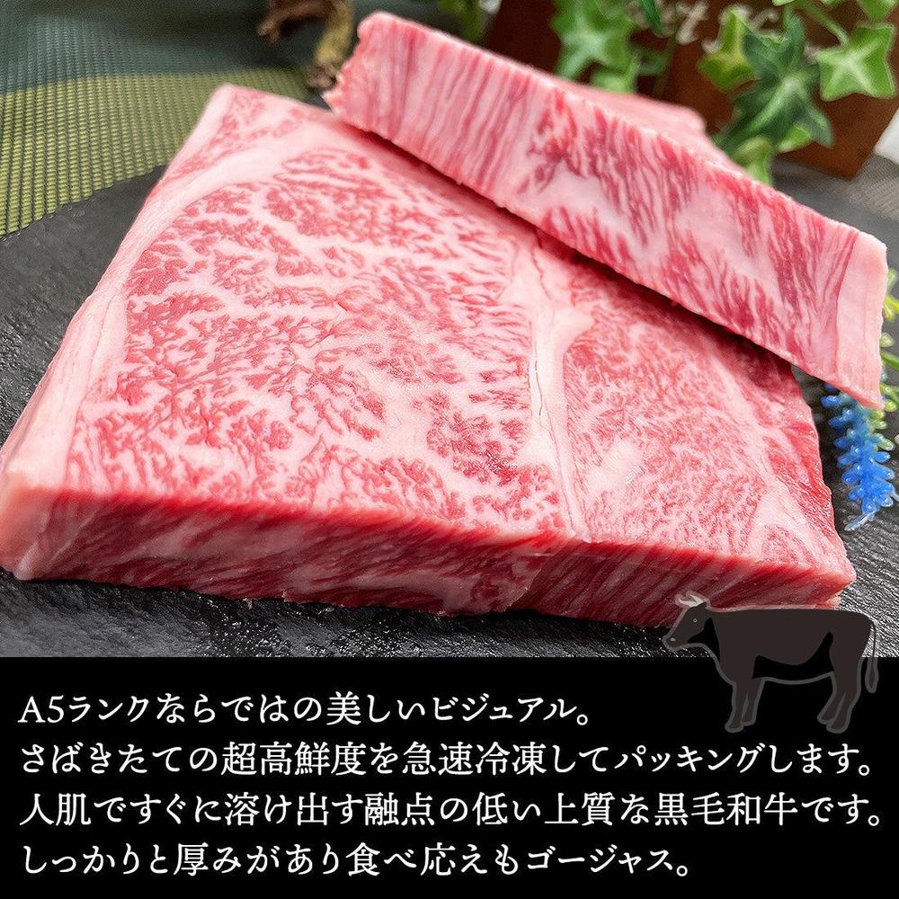 A5ランク 佐賀牛 最高級 極上リブロースステーキ 【サシと赤身の