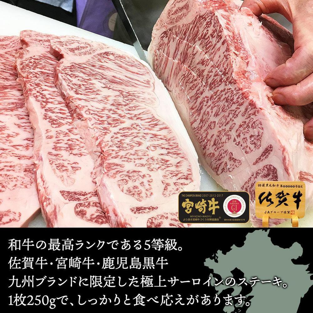佐賀牛 最高級 A5ランク 極上サーロインステーキ 【ウェルダンでも