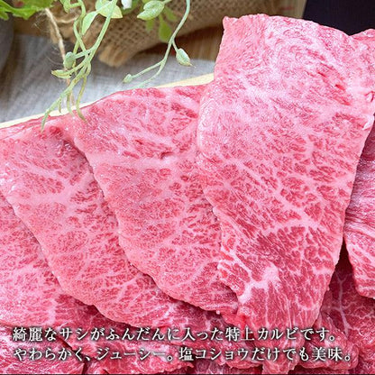 お肉